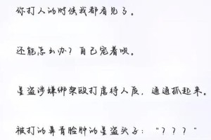 《布偶猫男主的精彩生活》（探秘布偶猫男主与主人的温馨故事）