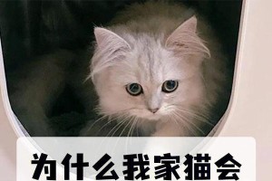 猫为何喜欢刨花盆里的土？（探索猫咪的自然本能与行为习惯）
