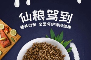 如何照顾好哈士奇（科学饲养与合理喂养要点）