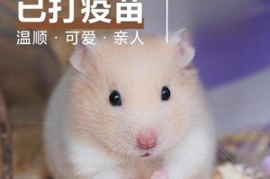 探究仓鼠为什么会咬人（了解仓鼠咬人的原因及预防方法）