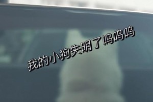 当狗狗眼瞎了（关爱盲狗的必要性及适应新环境的方法）