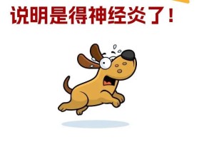 狗得了风湿症状的表现及处理方法（详解狗患风湿症状的主要表现以及如何有效处理）