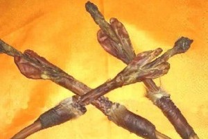 狗狗阴茎流黄脓的原因和治疗方法（探究狗狗阴茎流黄脓的可能疾病和医疗建议）