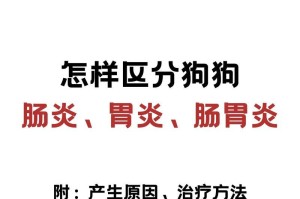 狗急性肠胃炎的饮食调理（了解狗急性肠胃炎及其饮食调理方案）