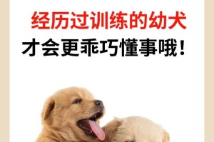 训练哪种狗最有效？（探究不同狗种训练效果的关键因素）