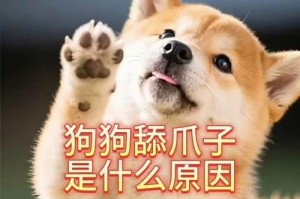 揭秘狗狗爪子肿胀的七大原因（7种原因了解一下，轻松治疗宠物爪子肿胀）