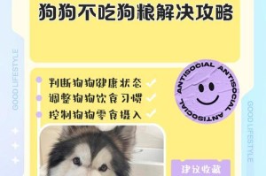 幼犬吃了狗粮多久拉屎？（探索幼犬食物消化过程中的时间规律）