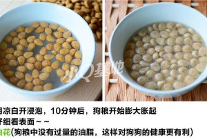 狗狗按压能出狗粮的原因（揭秘狗狗按压器的工作原理与益处）