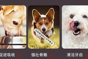 萨摩耶幼犬喂养指南（幼犬与成年犬喂养的差异与注意事项）