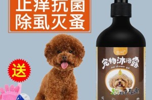 泰迪宠物长螨虫的应对方法（宠物健康保护小妙招）