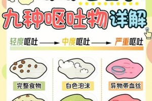 狗呕吐后的饮食选择指南（为你的宠物提供正确的饮食以促进康复）