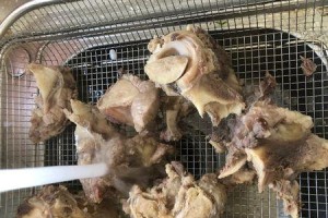 如何煮出美味的狗狗筒子骨（佐料选择决定味道的关键，助你成为狗狗骨头大厨）