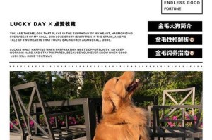 公金毛和母金毛的区别（了解这些，选择适合你的金毛宠物吧！）