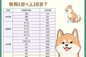 狗狗年龄与体重的关系探析（从狗狗年龄到体重的演变，了解你的毛孩成长状态）