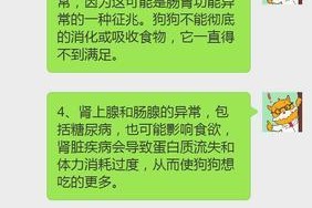 狗狗食量与年龄和体重有关（探究幼犬饮食需求的关键因素及其养护指南）