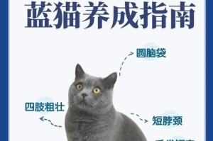 以蓝猫多久粘人（蓝猫对主人的依赖程度和粘人程度）