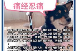 狗狗喘气的原因及应对方法（探究狗狗喘气的背后原因，以及主人该如何应对）