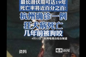 养小土狗的注意事项（小土狗的健康与幸福）