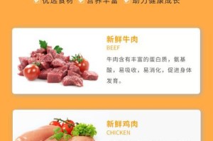 揭秘狗粮行业（探究肉类成分真相，警惕低价狗粮的隐患）