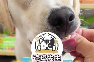 小狗吃什么狗粮长的胖？（营养均衡的狗粮对小狗体重增长的影响）