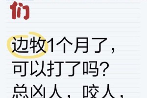 关于一只半月大的狗狗打疫苗的重要性（了解狗狗打疫苗的时间和注意事项，守护它的健康成长）