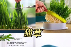 猫草替代品的全面探索（发掘新的选择，照顾爱宠的需求）