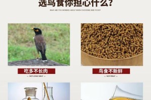 八哥自配饲料（探索八哥饲料配方的突破性方法）