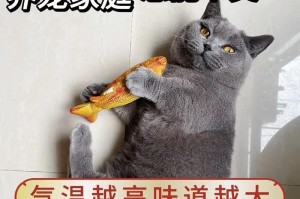 养宠物的好处和注意事项（以养宠物会得什么霉会高）