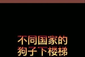 为什么狗狗害怕下楼梯？（探寻狗狗害怕下楼梯的原因和解决方法）