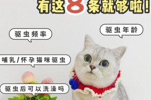 如何科学给猫咪驱虫（掌握正确的驱虫频率和方法，守护猫咪的健康）
