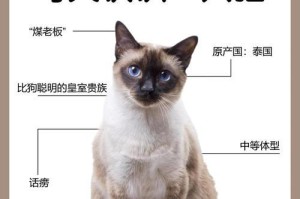暹罗猫为什么会变黑？（揭开暹罗猫毛发变色之谜）