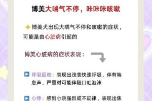 狗狗胸腔疾病的常见类型及预防措施（了解狗狗胸腔疾病，守护宠物健康）