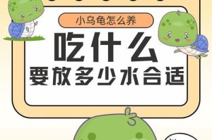 乌龟的饮食习性及适宜食物选择（探索乌龟的美食世界，了解它们喜爱的食物和饮食习惯）