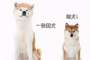秋田犬的禁养之谜（解读秋田犬禁养的五大原因）
