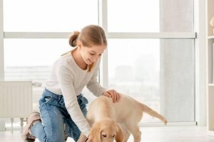 科学喂养狗子的正确狗粮量（如何根据实际情况合理喂养狗子？）