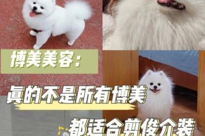 博美小狗的完美剪毛技巧（如何让你的博美宠物焕然一新）