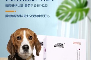 探究狗狗皮肤病的检查和药物治疗（了解如何有效诊断和治疗狗狗皮肤病，保护它们的健康）
