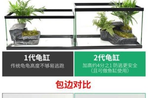 晒台（选择合适的晒台，让乌龟更健康）