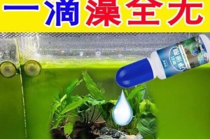 绿藻养鱼缸的好处（以养绿藻的鱼缸，让生活更绿色）