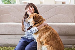 金毛犬一胎产下22只小狗，排队吃饭太壮观（可爱的金毛宝宝们以独特方式展现出他们的性）
