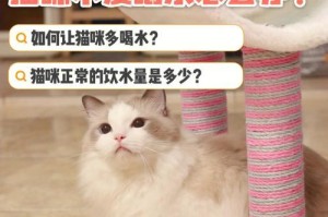 让宠物狗狗爱上喝水的方法（以关注健康为出发点，让狗狗喜欢饮水）