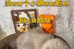猫爪板——猫咪抓痒的最佳工具（选择合适的猫爪板，让你的猫咪开心又健康）