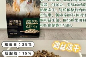 泰迪犬的饮食规律解析（合理喂养泰迪犬，健康快乐的关键）
