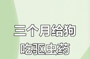 怀孕狗的驱虫时间和方法（了解怀孕狗的驱虫周期，保护母犬和幼犬健康）