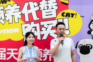领养代替购买，为爱找到家（拯救流浪动物，改变命运的一步）