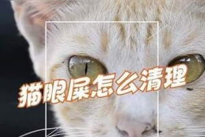 揭秘猫咪眼屎之谜（猫咪眼屎的成因、治疗方法以及预防措施）