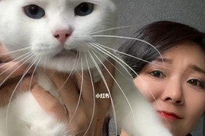猫咬新来猫脖子的原因及处理方法（探究猫咬新来猫脖子行为的背后原因，以及如何有效应对此问题）