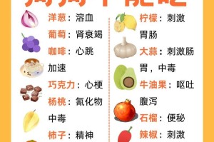 夏天狗狗的饮食需求（为你的宠物提供合理的夏季饮食，让它保持健康和快乐）