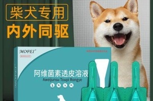 寻找适合孩子的狗的最佳治疗方法（以哪种狗为主宠对孩子最有益？）