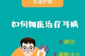 如何治疗猫咪患耳螨？（了解耳螨的引起原因及有效的治疗方法）